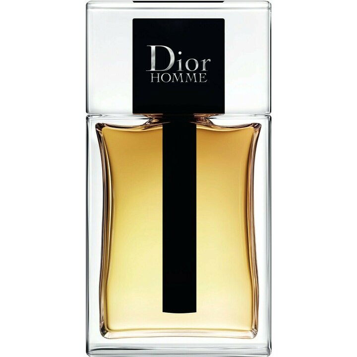Dior Homme